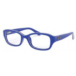 RAY BAN 1529