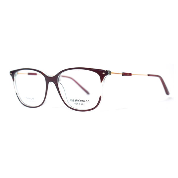 ANA HICKMANN  6239T