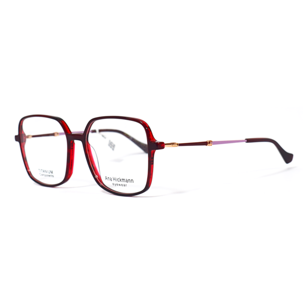 ANA HICKMANN  6463T