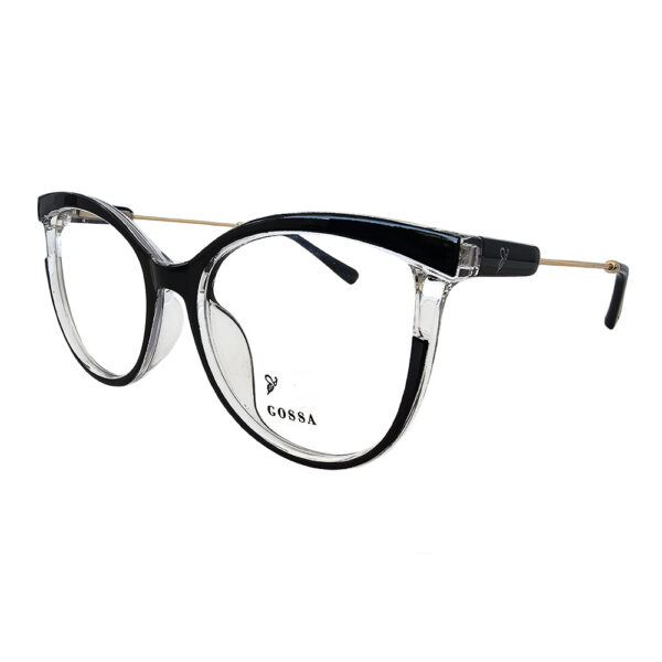 GOSSA 81008